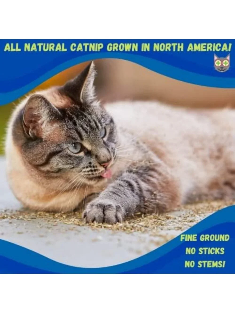 Premium Catnip Stalkless Dried Ground 12oz - Strong Cat Treats for Happy Cats